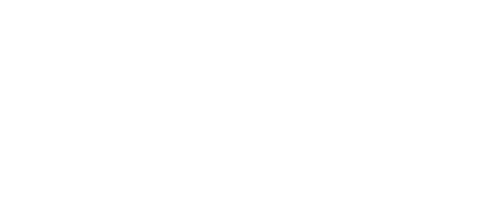 FIFA 19